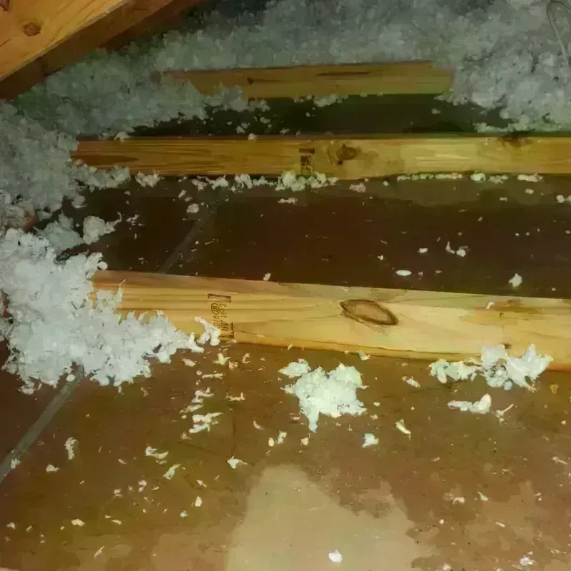 Attic Water Damage in Biscoe, NC